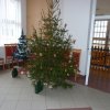 Vánoce ve škole - vánoční trhy 16. 12. 2011